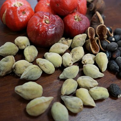 Three types of native bush foods arranged together on wooden backdrop